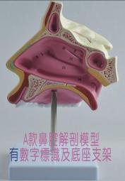 【福滿來】可寄送樣品 快折幕 展場布幕 活動支架 畫框幕 布幕收納箱  投影布幕 訂做各尺寸 正投影 背投影 APAA 歷史價格詳細信息