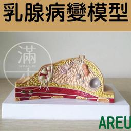 乳腺疾病食療與藥膳調養 李麗 2014-8-1 中國醫藥科技 歷史價格詳細信息