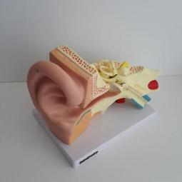 【福滿來】大尺寸 布幕 可訂做各尺寸400吋300吋250吋200吋180吋150吋 環狀弧形 摺疊支架 投影APAD 歷史價格詳細信息