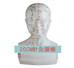 中醫經絡穴位視頻教程U盤人體穴位取穴教學推拿按摩針灸入門優盤 歷史價格詳細信息