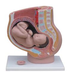 《過來福》自動款創意創意英倫復古報紙傘雨傘陽傘折疊傘抗UV抗風抗雨防曬情侶傘防紫外線傘遮陽傘三折傘無毒 歷史價格詳細信息