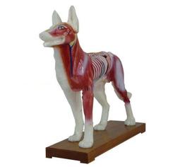 獸醫教你畫動物素描   【金石堂】 歷史價格詳細信息