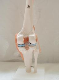 kb附掛繩 2019新款iPad保護套10.2寸 Air3 Pro10.5殼9.7英寸2019 歷史價格詳細信息