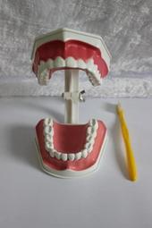 井川百貨 兒童益智彈力拋接球親子互動球類男孩玩具雙人彈射對接球戶外運動  露天拍賣 歷史價格詳細信息