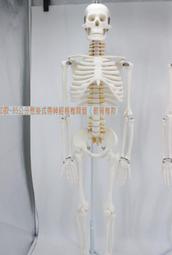 美神高級白色水鉆一字帶高跟涼鞋女夏季方頭細跟鞋女鞋人間富貴花 歷史價格詳細信息