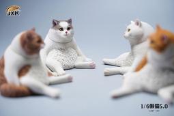 JXK 1/6 進擊的巨貓 可愛創意寵物貓搭配地臺模型手辦擺件 歷史價格詳細信息