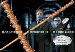 哈利波特親子組｜【中衛】 哈利波特學院款拋棄式口罩(兒童x40片/盒+成人x40片/盒) 歷史價格詳細信息