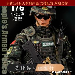 1/6和平使命PLUS中國城市特警兵人模型維和WU警海軍邊防戰士手辦 歷史價格詳細信息