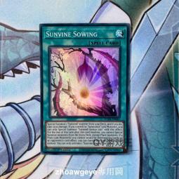 播種的旅人 傳說的故鄉DVD，栗山千明、桐谷健太、三浦貴大、豐原功補，日本物產最豐饒-淡路島的傳說，全新 歷史價格詳細信息