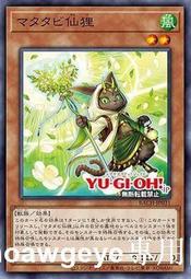 全球購-⌘ QY遊戲王 木天蓼仙狸 N平卡 BACH國行日文 1107日版 價格比較,價格查詢,歷史價格詳細信息