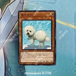 迷路小瑪在萬金 02 值言   黑蛛白蛛  東立。東津萌米 穗姬fight  小說 食用系少女: 樂團少女Project 歷史價格詳細信息