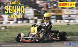 Ayrton Senna 1984-1994 1/8 安全帽 一套11個 歷史價格詳細信息