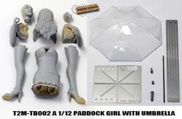 Girls with a Voice (6 Chelsea Walk)【禮筑外文書店】[69折] 歷史價格詳細信息