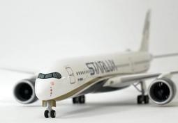 星宇航空 行李條 歷史價格詳細信息