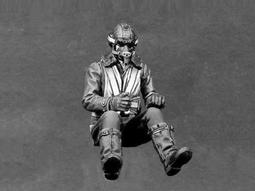 1/32~二戰美國空軍飛行員 歷史價格詳細信息