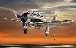 trojan蓄t-105邱健電瓶t105 6v225h洗地機升降機觀光車 歷史價格詳細信息