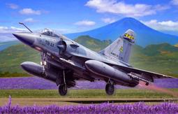 現貨 1/32 國軍 F-16A/B block 20 戰鬥機 用垂直尾翼 for academy 歷史價格詳細信息