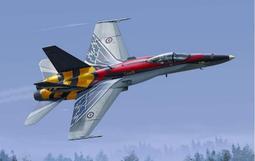 漂亮塗裝  ITALERI 1/72 F/A-18 HORNET TIGER MEET 2016 #1394 歷史價格詳細信息