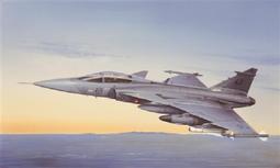 Italeri 1/48 2638 瑞典空軍 JAS 39A 獅鷲戰鬥轟炸機 歷史價格詳細信息