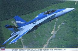 [捷颺逸品] 優質精品 ! REVELL F-15E STRIKE EAGLE ! 歷史價格詳細信息