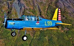 BT13 日東工業株式 會社株劵 拾株劵 金五百圓 寬約27公分 高約20公分 歷史價格詳細信息