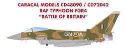 Caracal Models 1/48 F-82 Twin Mustang 雙胴野馬戰機 水貼_CD48146 歷史價格詳細信息