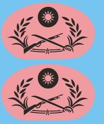 Bestfong水貼紙~3mm台灣/中華民國國軍深藍色國徽(黨徽,一組6個) 歷史價格詳細信息