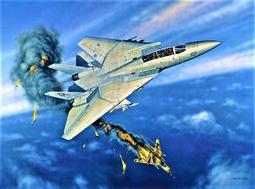 長谷川 1/72 F-14/F-16/F-18 各一盒 &amp; 飛彈組兩盒 歷史價格詳細信息