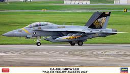Hasegawa  1/72  EA-18G 咆哮者&trade;&ldquo;VAQ-131 槍騎兵 2022&rdquo;（02432) 歷史價格詳細信息
