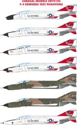 Caracal Models 1/48 F-82 Twin Mustang 雙胴野馬戰機 水貼_CD48146 歷史價格詳細信息
