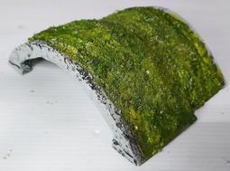 144 日本錢幣 銅幣 0.5錢 半錢 明治8 9 10年 共3枚 歷史價格詳細信息