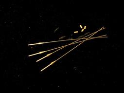 天竺鼠車車彈珠台-花色隨機出貨1PC個【家樂福】 歷史價格詳細信息