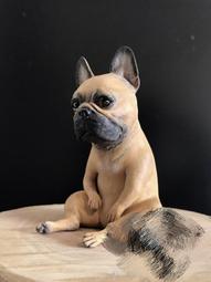 【現貨一套】萌萌的鬥牛犬 樹酯模型 高約75mm  G84 價格比較,價格查詢,歷史價格詳細信息