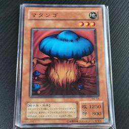 54/99/204P木框(尺寸100x147mm) 歷史價格詳細信息