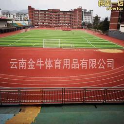 塑膠跑道混合型跑道epdm顆粒矽pu籃球場幼兒園 小區跑道材料 歷史價格詳細信息