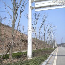 【】f杆定購 懸臂式交通標誌杆 f型單柱型道路指示杆 歷史價格詳細信息