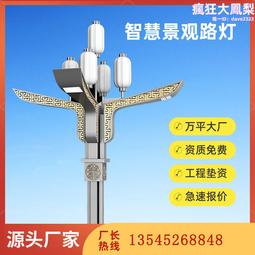 市政道路景觀亮化中華燈 市區廣場景區組合燈led玉蘭景觀燈 歷史價格詳細信息