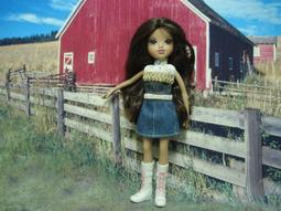 *{心花怒放館}*特價出清~買十送一~買滿額有便宜加購品~【正版芭比盒裝服飾#B88~#B89】 歷史價格詳細信息