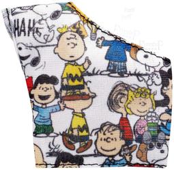 Peanuts 5-minute Stories/Charles M. Schulz【禮筑外文書店】(精裝)[9折] 歷史價格詳細信息