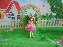 喜洋洋園地/正版莉卡娃娃鞋子/莉卡配件/莉鞋57B 歷史價格詳細信息