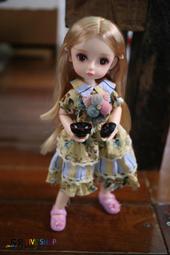 re ment  食玩 韓國之旅  人蔘酒 歷史價格詳細信息