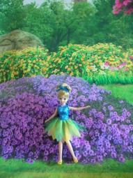 喜洋洋園地/正版莉卡娃娃鞋子/莉卡配件/莉鞋57B 歷史價格詳細信息