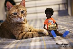 現貨：現貨 芭比布朗波朗盈亮三色腮紅盤01 02p0304 歷史價格詳細信息