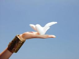 適用于小布疊車改裝 鋁合金易行輪 延長桿伸縮桿 3sixty 歷史價格詳細信息