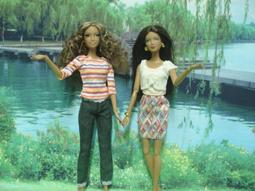 *{心花怒放館}*特價~已絕版~買十送一【正版芭比泳裝...#B206】三日內出貨 歷史價格詳細信息