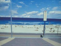 ????特價一台????買一送一 ????100% ???? Apple iPhone 14 128GB藍色????????台哥大保固 歷史價格詳細信息