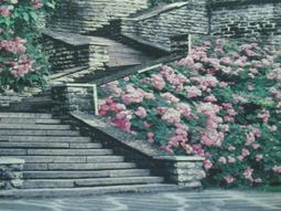 一階布紋魔方-黑底【小小店舖】 Z-CUBE 一階 1階 布紋魔方 迷你1.9CM 附繩子 魔術方塊 魔方 歷史價格詳細信息