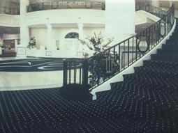 *{心花怒放館}*我最便宜現貨特價買五送一【60公分 *100公分芭比等1/6娃可用的背景布..星空類#D80】日內出貨 歷史價格詳細信息