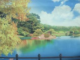 *{心花怒放館}*我最便宜現貨特價買五送一【60公分 *100公分芭比等1/6娃可用的背景布..星空類#D80】日內出貨 歷史價格詳細信息