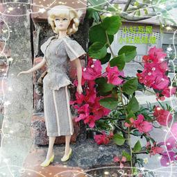 S小紅瓦屋.早期風格海馬海豹釣魚玩具組高約12公分(塑膠空心娃娃二手玩具跳蚤屋尋寶) 歷史價格詳細信息